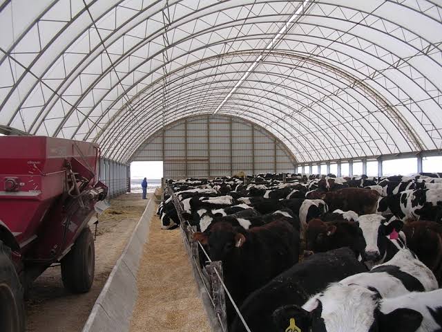 Çelik konstrüksiyon Yarı açık ahır yapımı